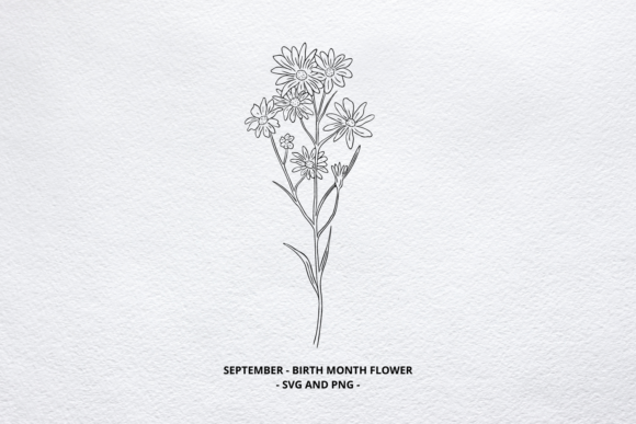 Download September Flower, Aster SVG, Foiling - September flower Collection